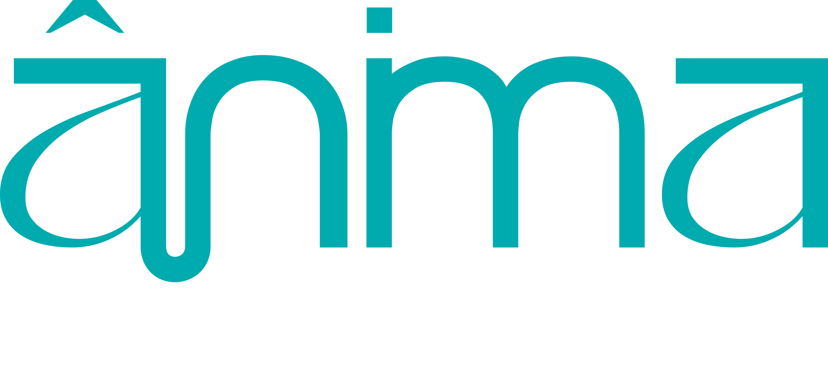 Ânima Estacionamentos